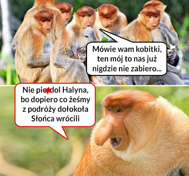 Halyna narzeka koleżankom na Janusza