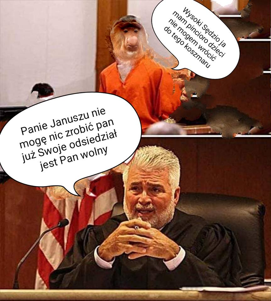 Janusz w sądzie