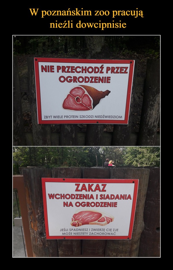 W poznańskim zoo pracują dowcipnisie